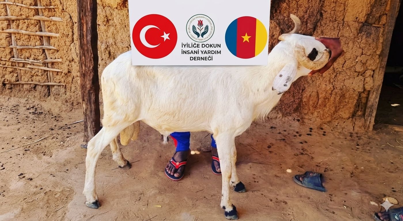 Vacip Kurban Bağışı